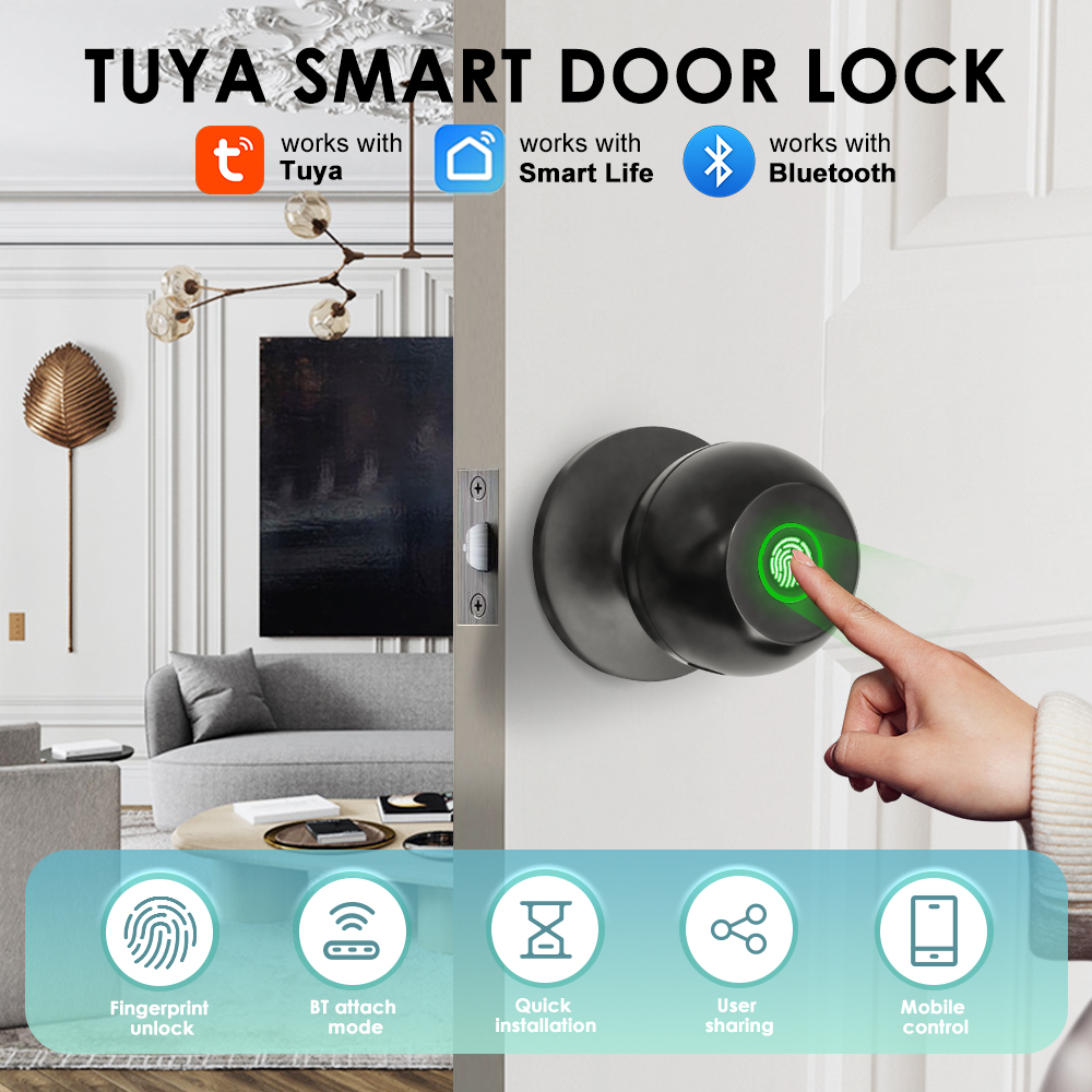 Smart Home Website - Tuya Electronic Door Lock Smart External