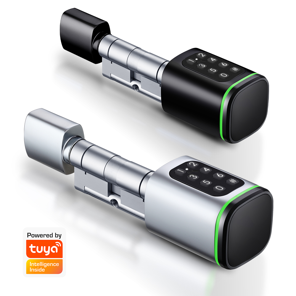 Smart Home Website - Smart Cylinder Lock Tuya 60-90mm Electric