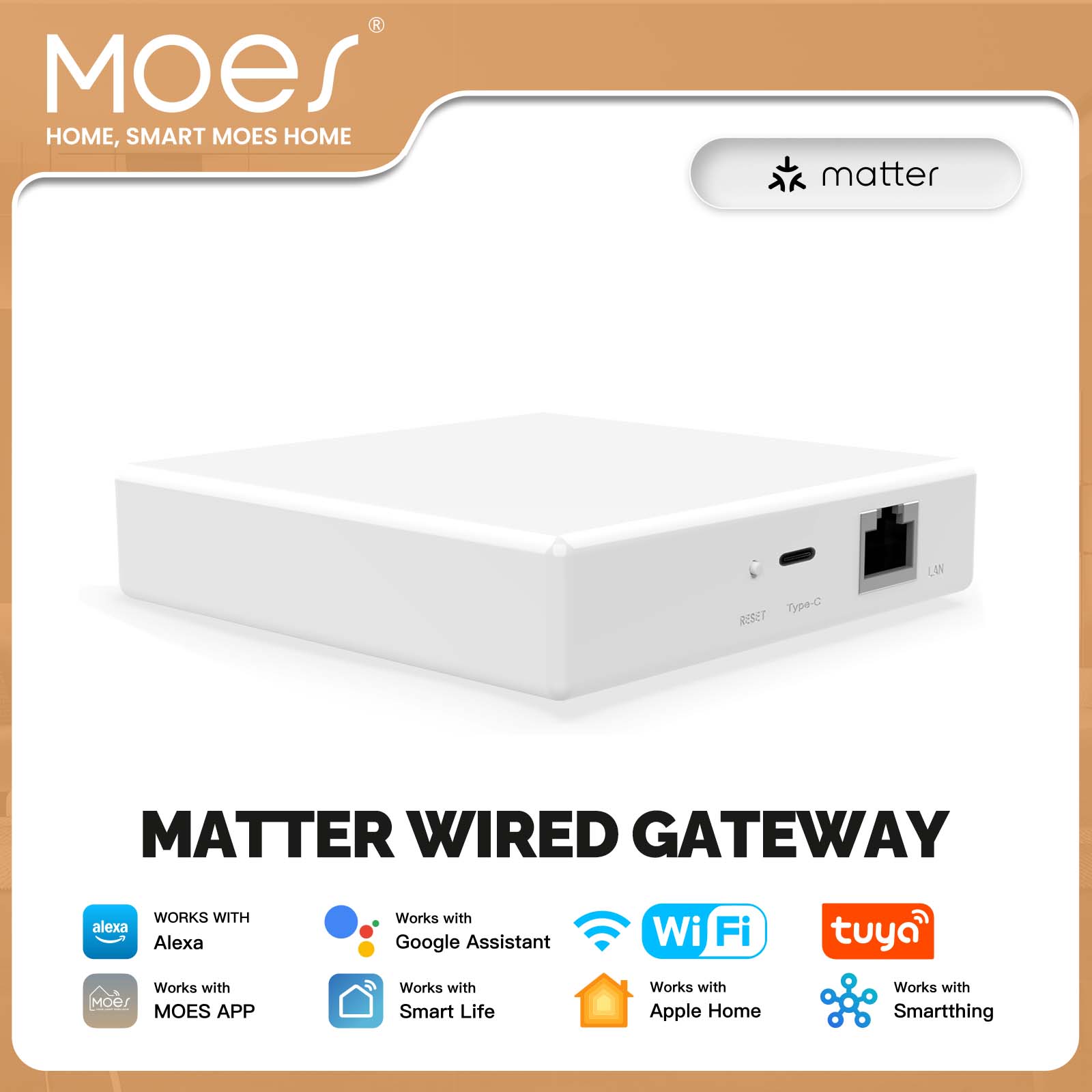 Smart Home Website - MOES Tuya ZigBee Matter Thread Gateway