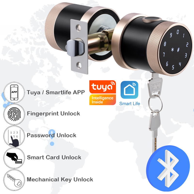 Fingerprint Door Lock Tuya Blu - Smart Home Keyboard review and price